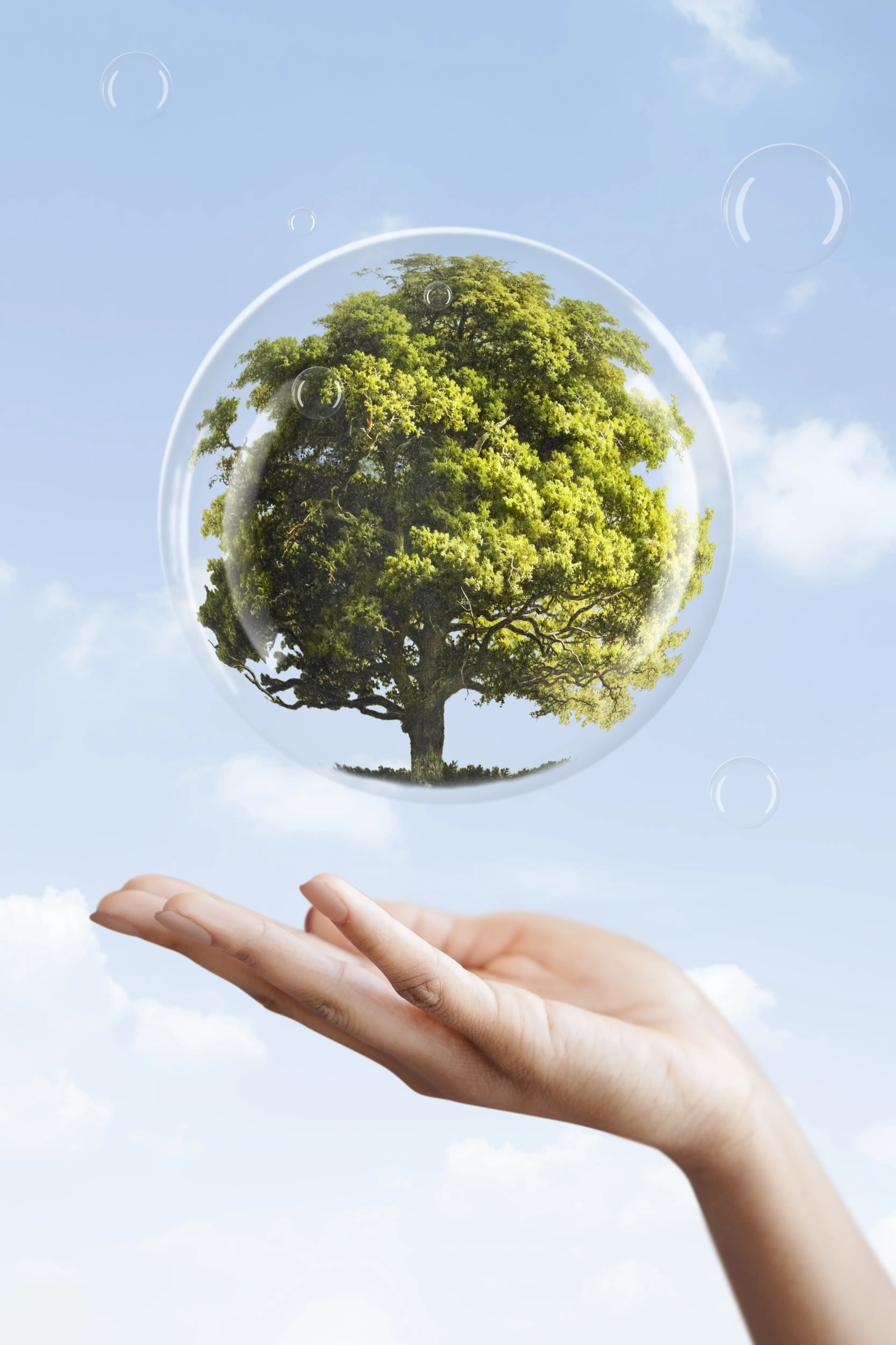 earth-day-campaign-hand-showing-tree-bubble-media-mix
