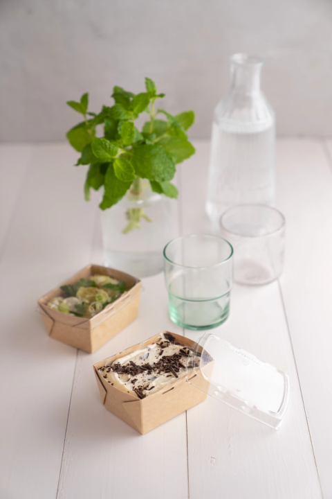 PAPDG250 + PAP5DELI (2)